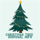 Christmas Tree Disposal