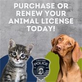 Purchase or Renew Your Animal License Today!