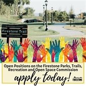 Volunteer Today Graphic