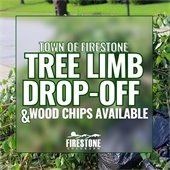 Tree Limb Drop-Off