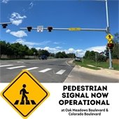 Pedestrian Signal Now Operational! 