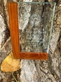 Gold Leaf Community Beautification Award