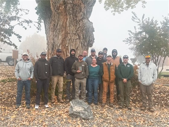 Gold Leaf Community Beautification Award