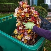 Keep Leaves Out of the Roadway: Help Protect Our Community