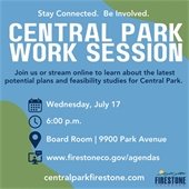 Central Park Work Session Details