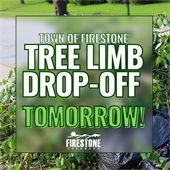 Tree Limb Drop Off Tomorrow