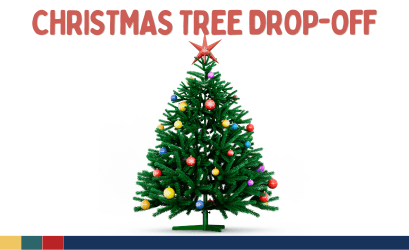 Spotlight_2024_ChristmasTreeDropOff