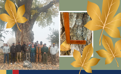 Spotlight_2025_GoldLeafAward