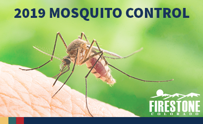 Spotlight_2019MosquitoControl